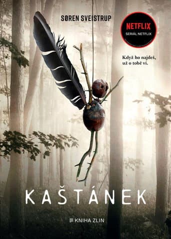 Plakát: The Chestnut Man: Hide and Seek