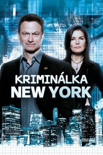 Plakát: Kriminálka New York